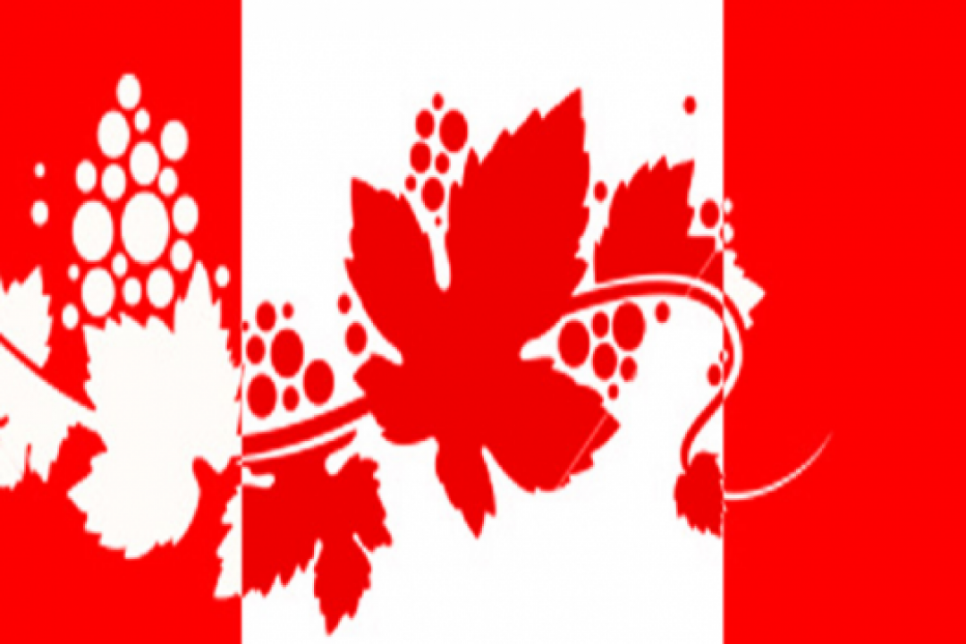 Canada, vino batte birra nel 2010/11