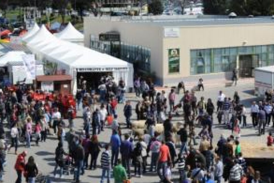 Agriumbria, l’intersettorialità come motore dello sviluppo