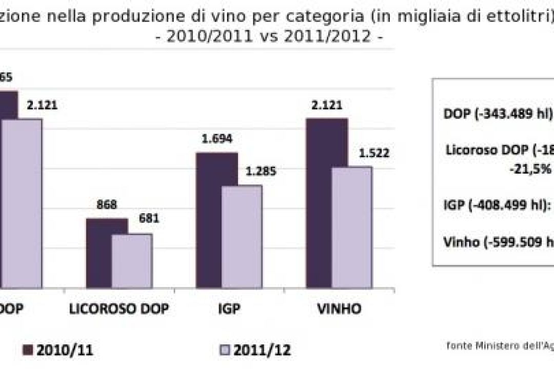 Portogallo, calo della produzione di vino nella campagna 2011/2012