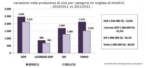 Portogallo, calo della produzione di vino nella campagna 2011/2012