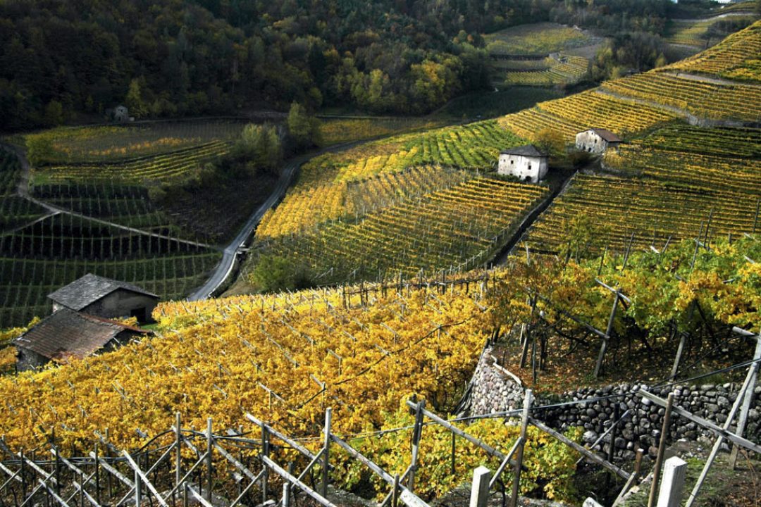 Valle di Cembra: il territorio, la gente, il vino