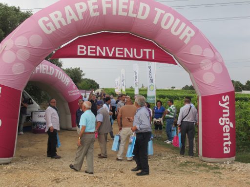 Chiude con successo il Grape Field Tour 2014 di Syngenta