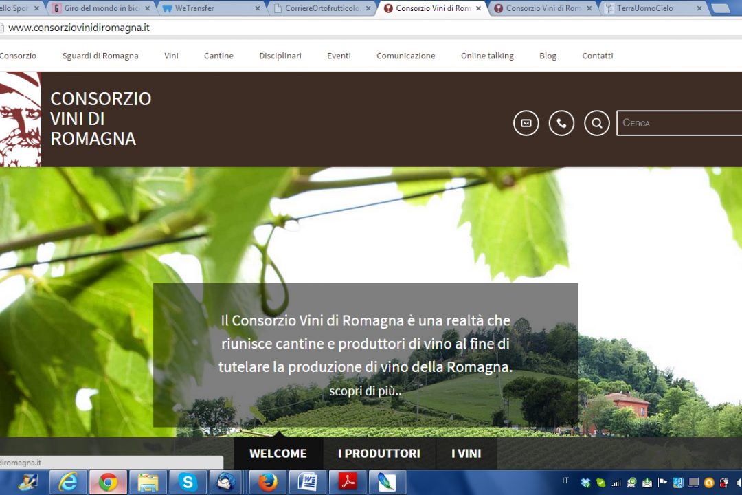 Nuovo sito per il Consorzio Vini di Romagna