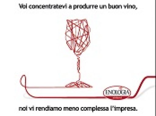 Enologia, software e servizi per le imprese del vino