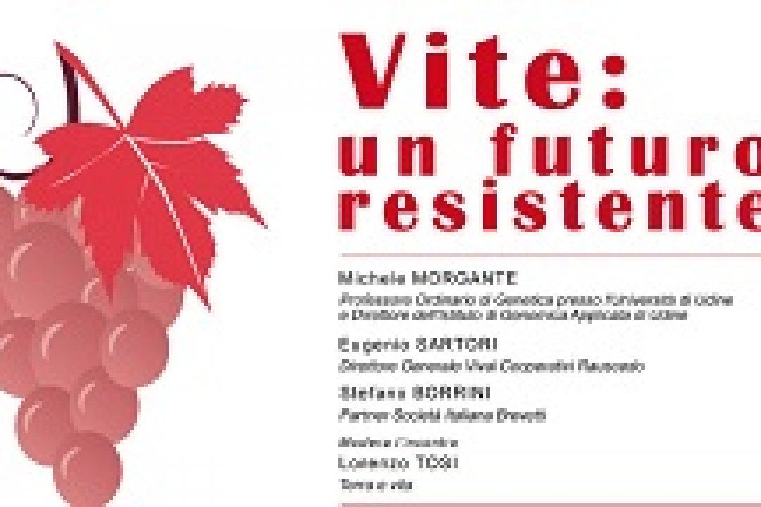 Nuovi vitigni resistenti, focus a Vinitaly