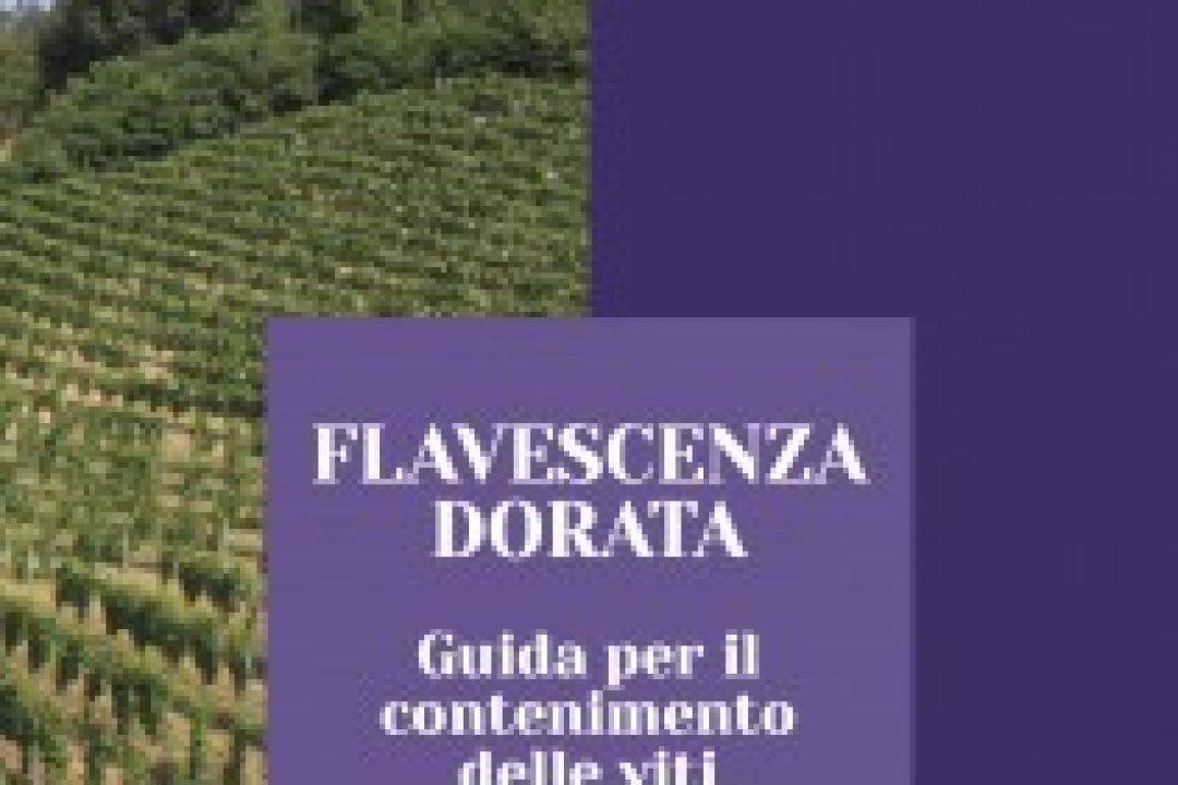 Flavescenza dorata, un manuale di buone pratiche