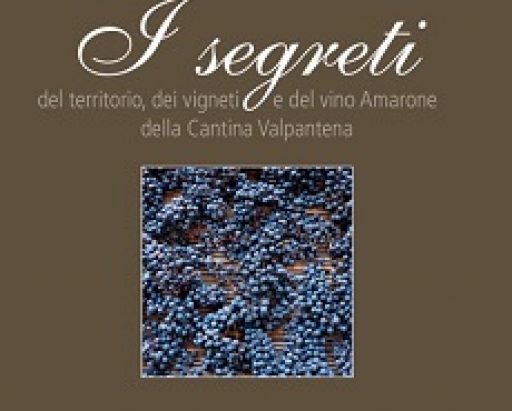 I segreti del territorio, dei vigneti e del vino Amarone della Cantina Valpantena