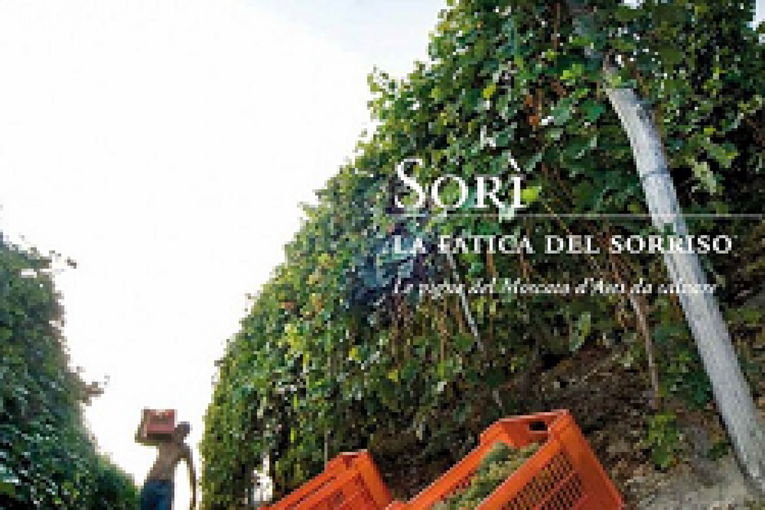 In libreria, Sorì – La fatica del sorriso