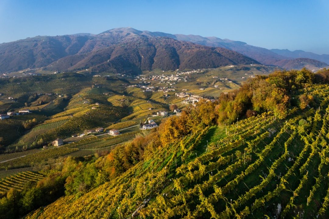 Conegliano-Valdobbiadene è la Città Europea del Vino 2016