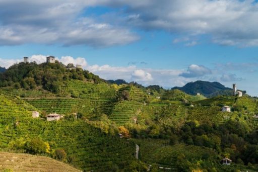 Protocollo viticolo 2016, Conegliano Valdobbiadene sempre più green