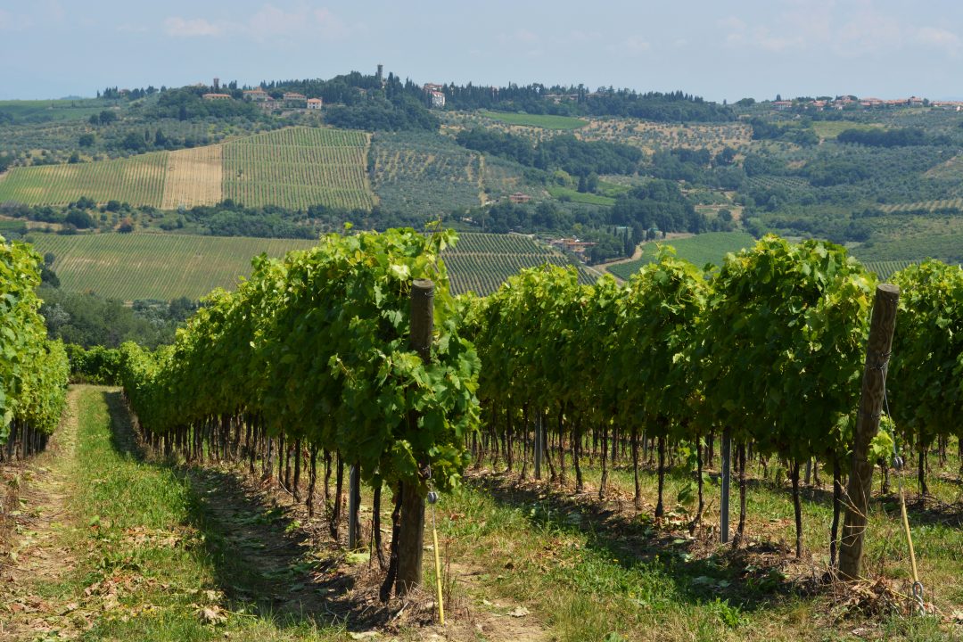Toscana: produzione 2017 a -40%
