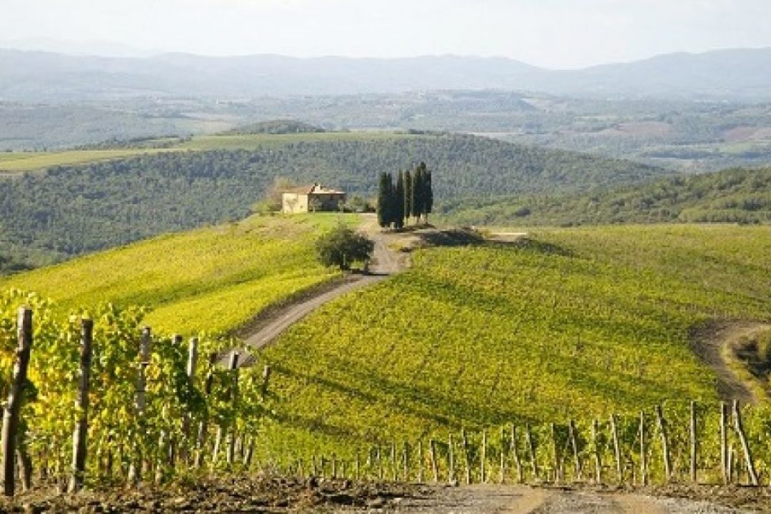 Montalcino: al via il progetto di mappatura del territorio