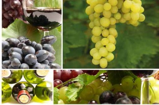 Fattori viticoli ed enologici e proprietà salutistiche del vino