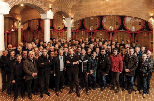 Weinwirtschaft, Cantina Valpolicella Negrar è la migliore cooperativa vitivinicola d’Italia