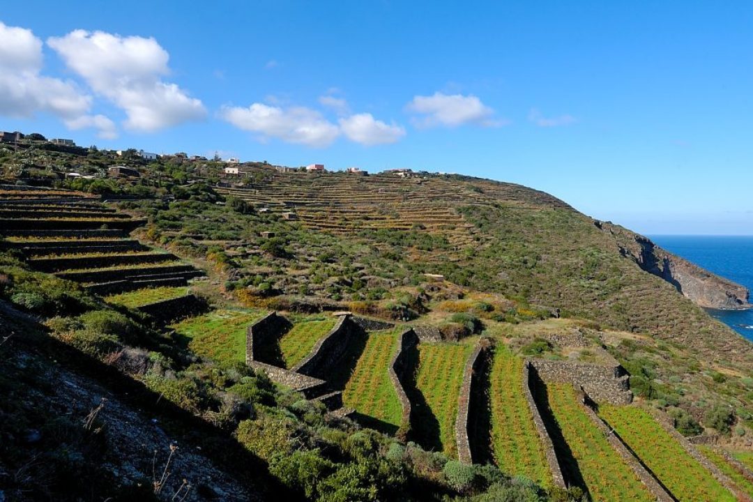 Passitaly 2016, promuovere le bellezza dell’isola di Pantelleria tutto l’anno