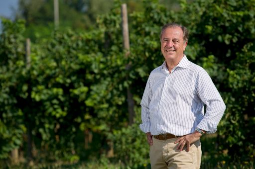 L’Asolo Montello Docg adotta il protocollo viticolo del Conegliano Docg