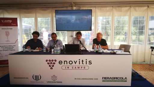 Enovitis 2017, Rallo: Tutela Doc delle Venezie modello vincente e replicabile