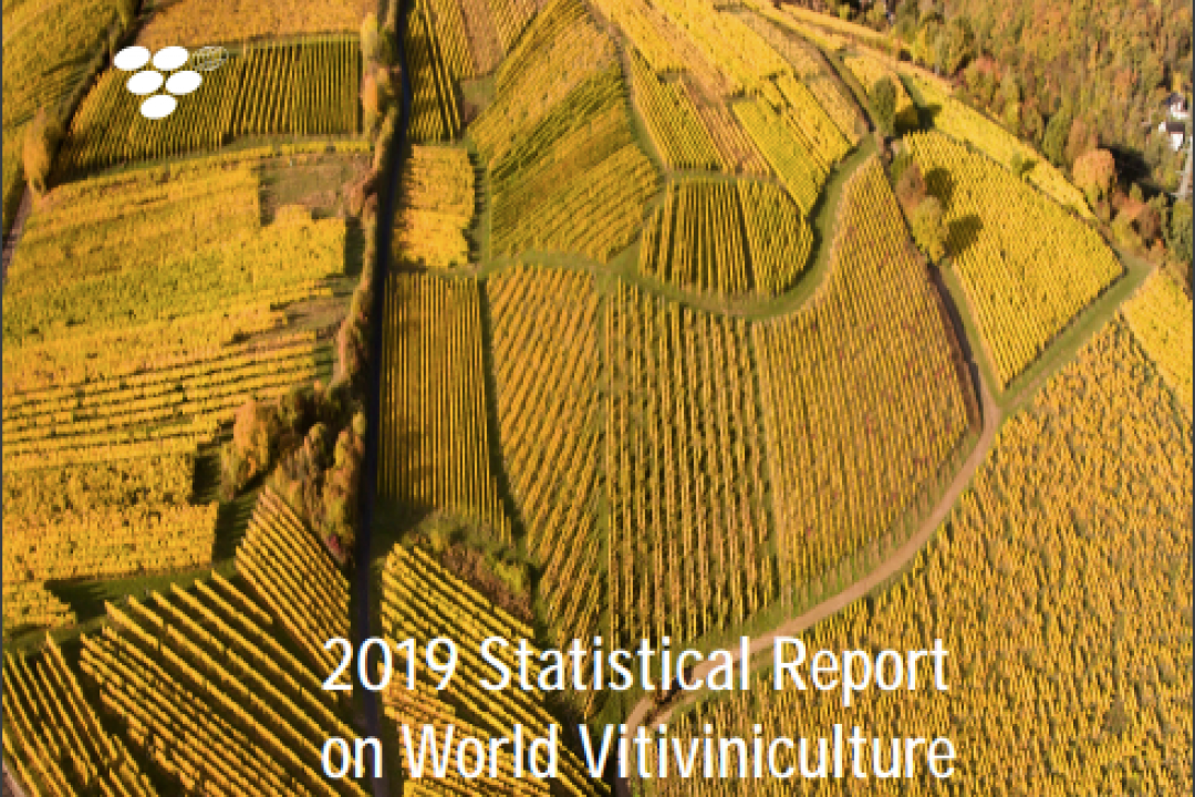 OIV: produzione mondiale 2018 stimata in 292 milioni di ettolitri (+17% vs 2017)