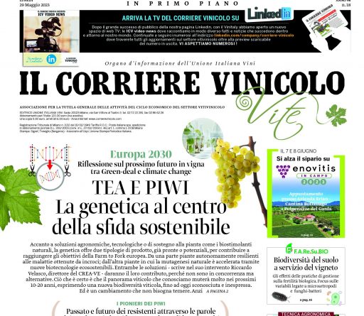 Il Corriere Vinicolo magazine in edicola